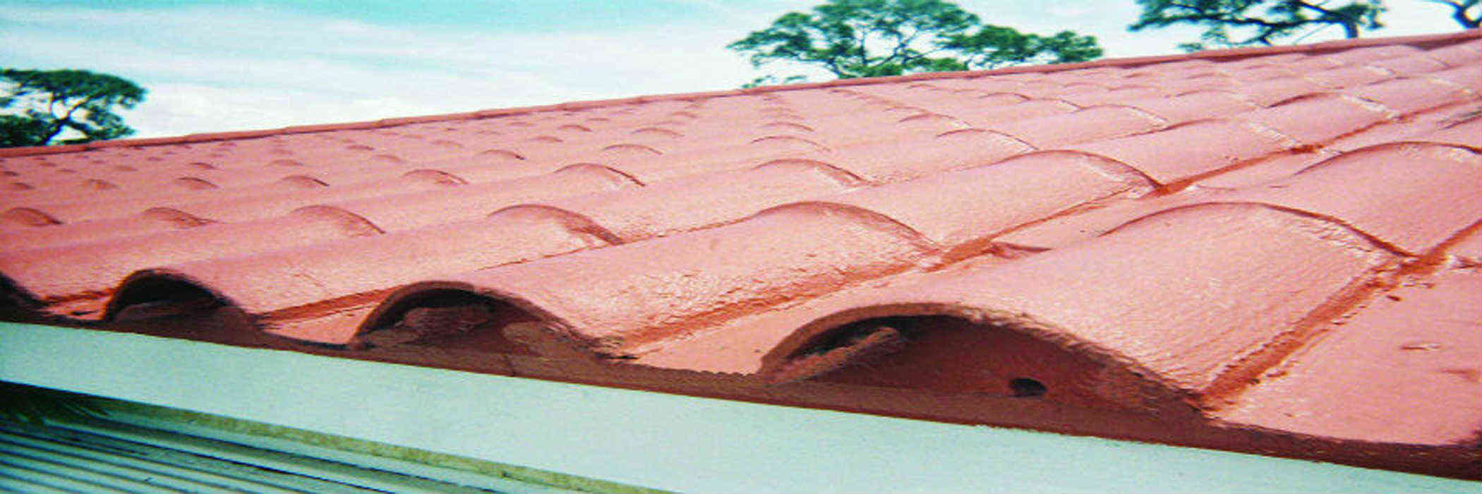 Roof Tile Coating